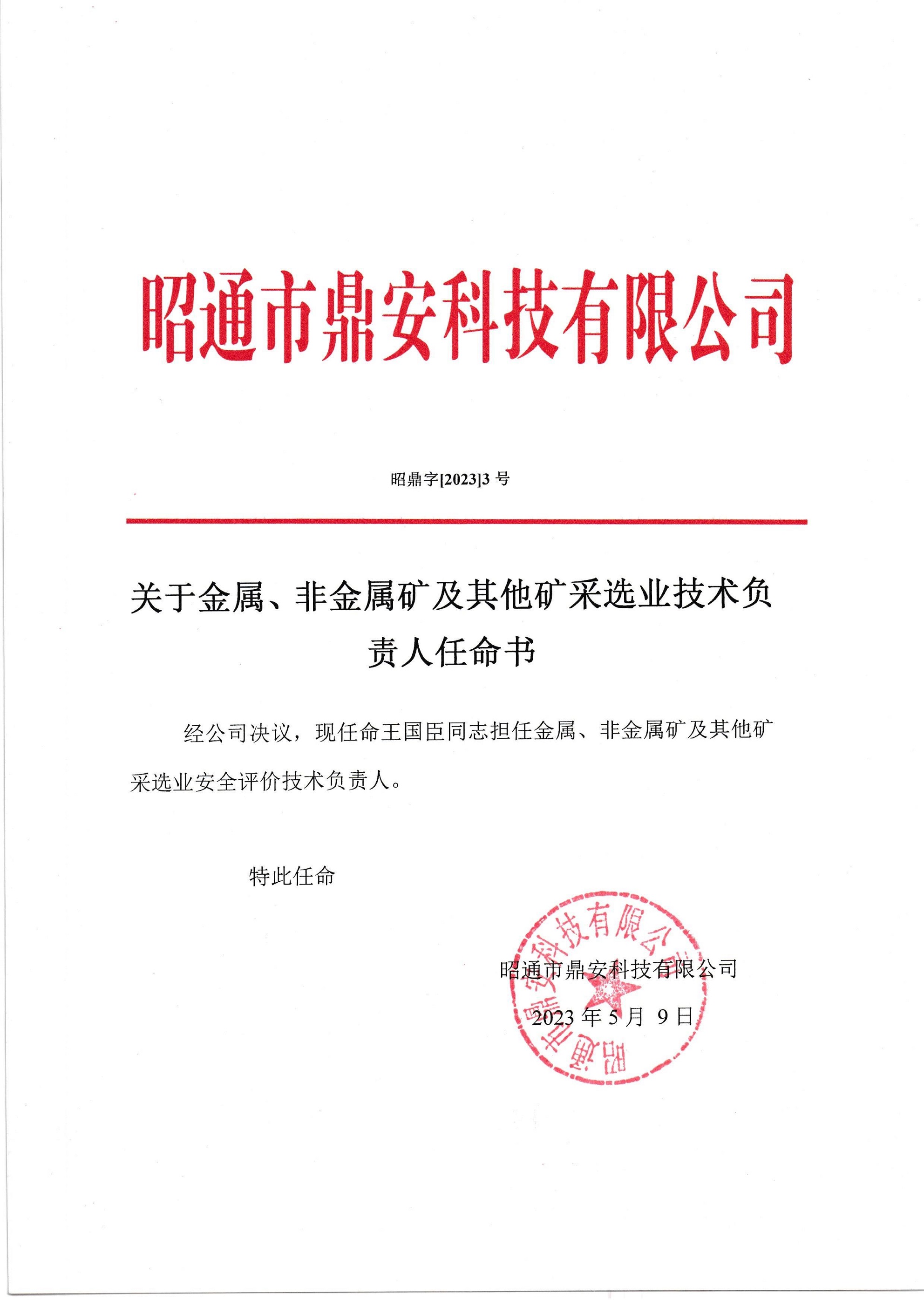 關(guān)于金屬、非金屬礦及其他礦采選業(yè)技術(shù)負(fù)責(zé)人任命書-王國臣_2.jpg